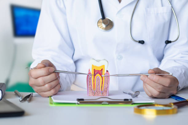 Best Urgent Tooth Repair  in Weaverville, NC